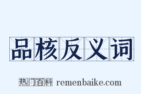 品核反义词是什么意思的图片